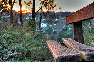 brown wooden bench near brown trees HD wallpaper