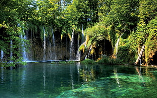 waterfalls during daytime