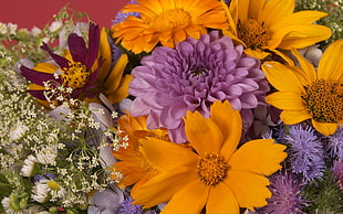 yellow and purple petaled flower arrangements