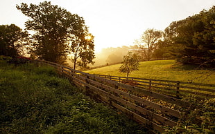 brown wooden fence, nature, landscape, sunset, lens flare HD wallpaper