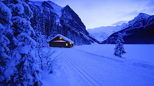 black shelter, landscape, snow, cabin, photography