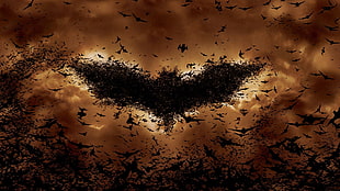 flock of bats creating Batman logo on sky digital wallpaper, Batman, bats, movies, Batman logo HD wallpaper