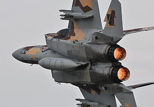 gray and brown F-14 Tomcat, warplanes, F-15 Strike Eagle HD wallpaper