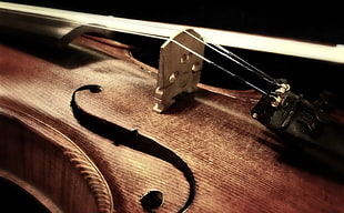 close photo of violin HD wallpaper