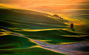mountain animated photo, landscape, green, sunlight HD wallpaper