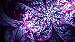 blue and pink floral photo