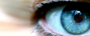 human eye, blue eyes, simple background HD wallpaper