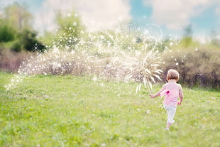 girl in pink and white outfit holding sparkler in a grass field during daytime HD wallpaper