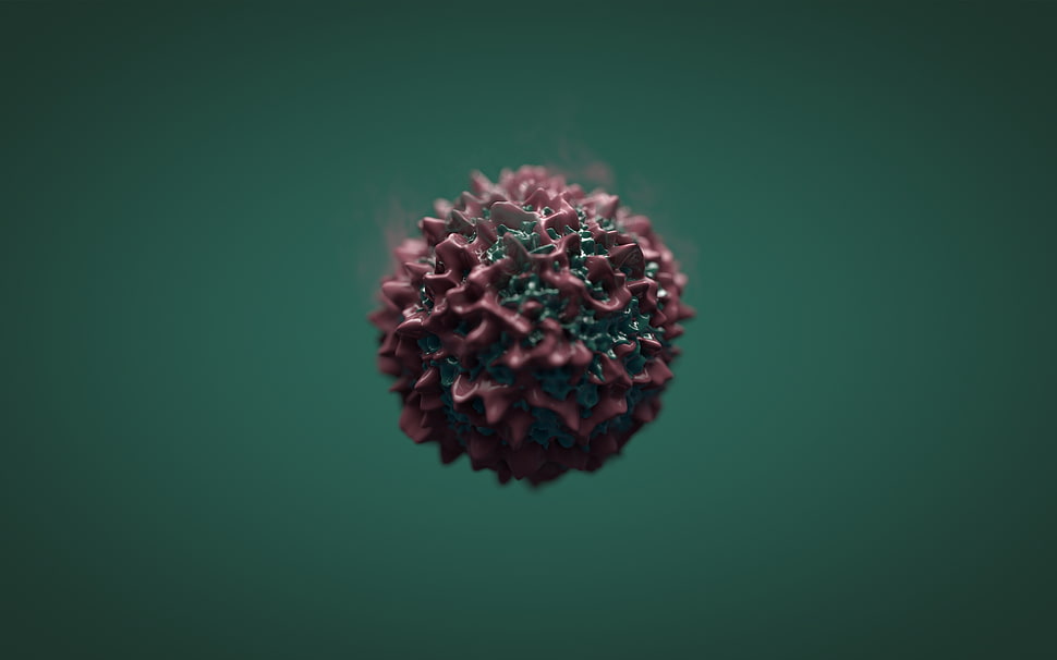 shallow focus purple and green germ HD wallpaper