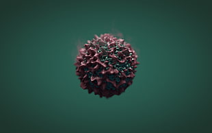 shallow focus purple and green germ HD wallpaper