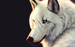 scratched face white wolf digital wallpaper, artwork