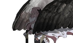 black and white wings illustration, Fate Series, Fate/Apocrypha , Rider of Black, Astolfo (Fate/Apocrypha)