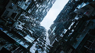 low-angle photo of high-rise building, Ghost in the Shell: ARISE, Ghost in the Shell, Ghost in the Shell (Movie) HD wallpaper