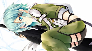 female anime character, Asada Shino, Sword Art Online