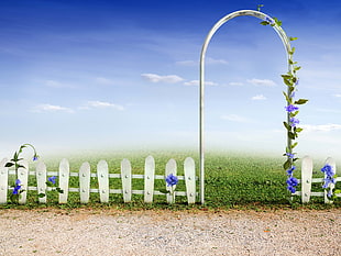 garden arch and white wooden fence HD wallpaper