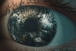 human eye illustration, eyes, 30STM, Thirty Seconds To Mars, Jared Leto