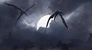 two black dragons flying wallpaper, dragon, night, fantasy art