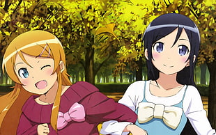 two female anime characters, Ore no Imouto ga Konnani Kawaii Wake ga Nai, Kousaka Kirino, Aragaki Ayase HD wallpaper