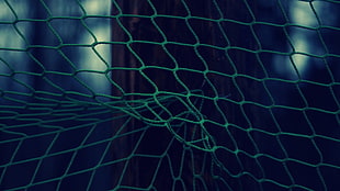 close up photography of green net
