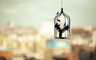 selective focus photograph of gray birdcage hanging decor