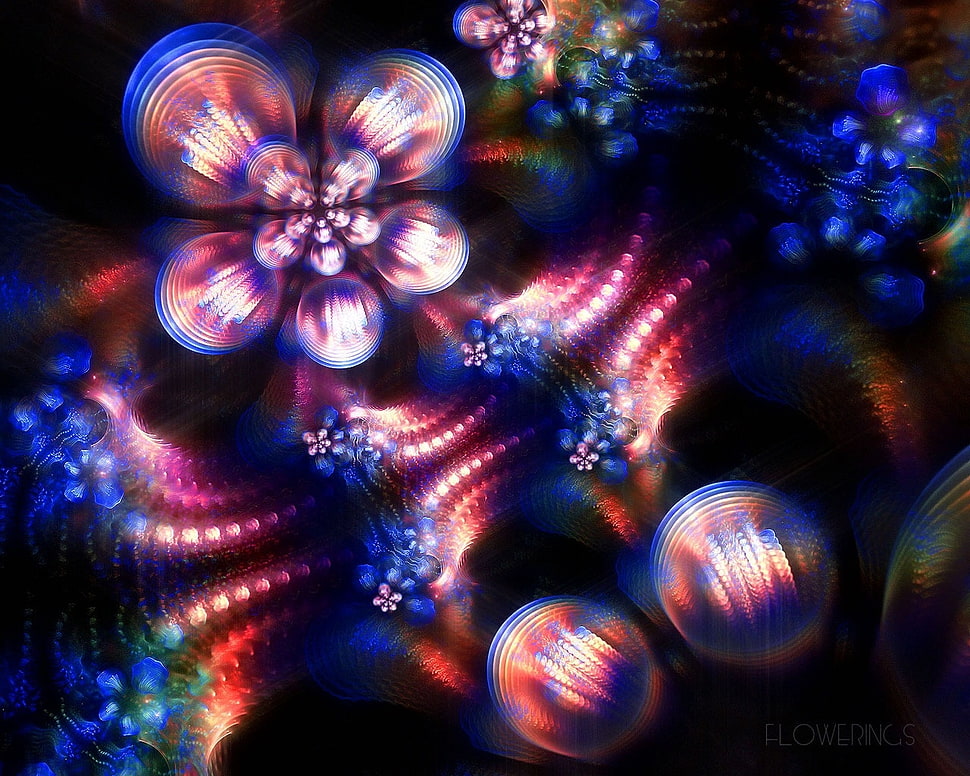 assorted color of lights HD wallpaper