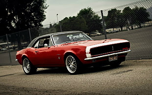 red and black muscle car HD wallpaper