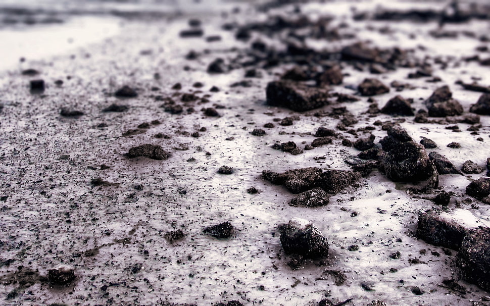brown soil, nature, macro, beach, rock HD wallpaper