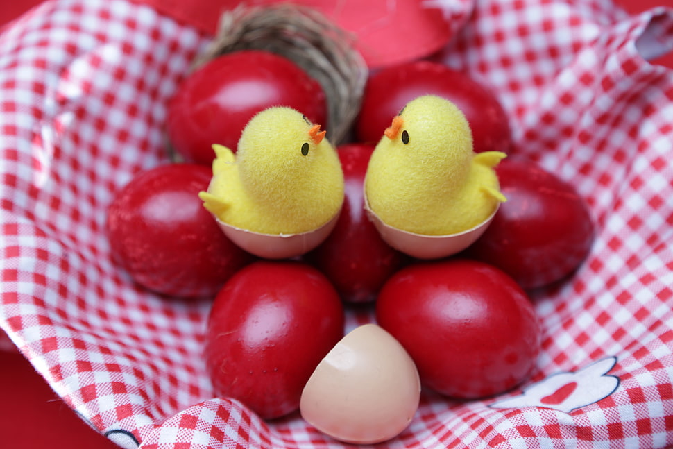 red Easter Eggs on basket HD wallpaper