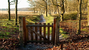 brown wooden fence beside tree