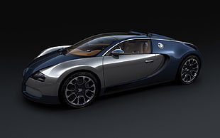 black and silver sports coupe, car, Bugatti Veyron, Bugatti, Bugatti Veyron Sang Bleu