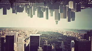 Central Park, New York, cityscape, Central Park, digital art, USA HD wallpaper