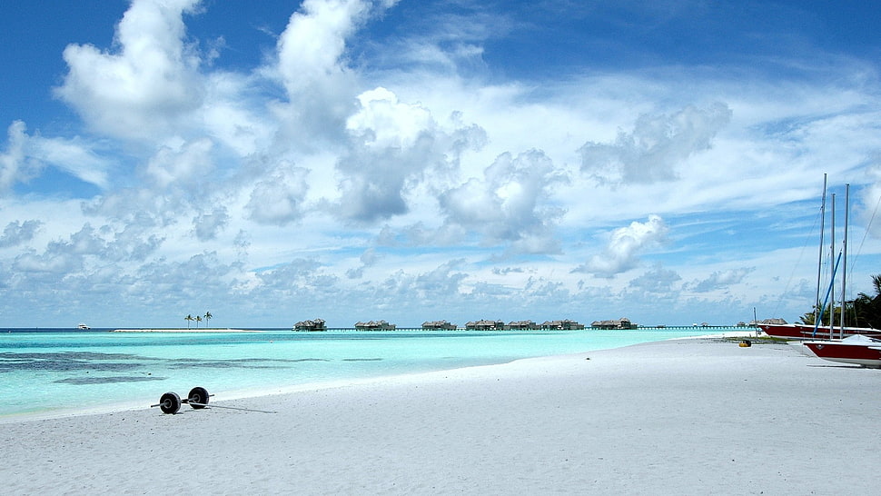 seahorse under white clouds during daytime HD wallpaper