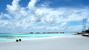 seahorse under white clouds during daytime