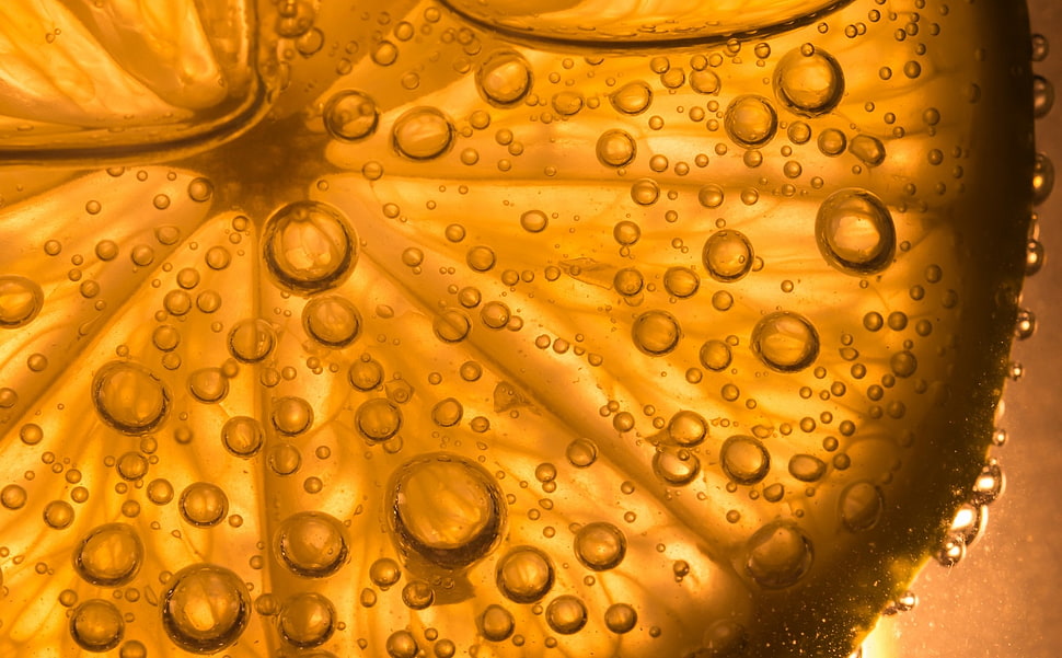water drop closeup photo HD wallpaper