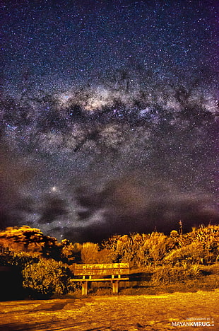 brown wooden bench near green grass, Milky Way, Auckland, New Zealand HD wallpaper