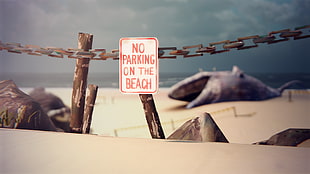 No Parking on the beach signage on brown chain