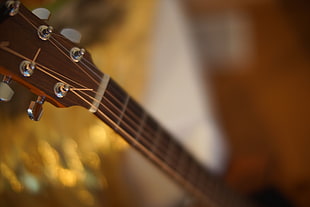 closeup photography of brown guitar headstock
