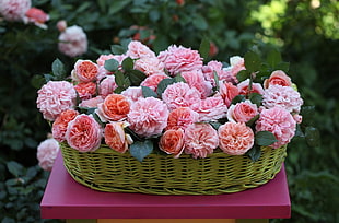 pink and orange petaled flower with oval rattan basket