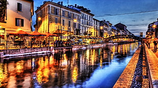 river with bridge beside houses and lighted post lights at night time