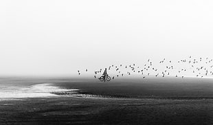 grayscale photo of person riding bicycle, monochrome, landscape