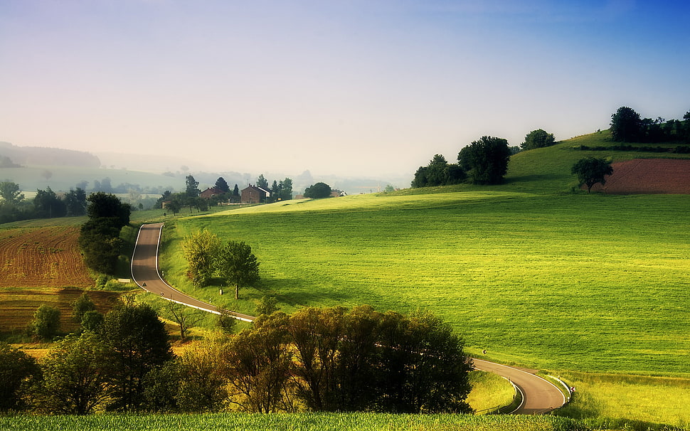 blacktop road and green grass, landscape, nature HD wallpaper
