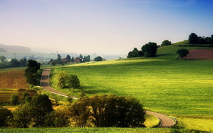 blacktop road and green grass, landscape, nature