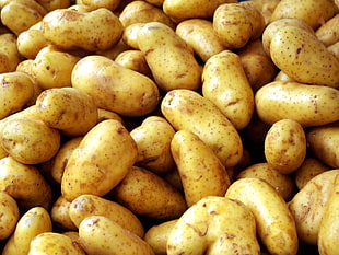 bulk of potatoes