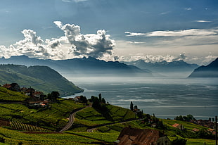 green grass cover rock formation with beside body of water photo, lac, lavaux, léman, geneva lake