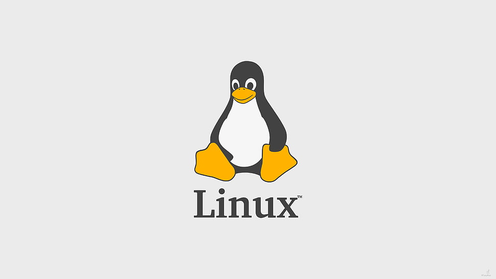 Linux logo, Tux, Linux, FoxyRiot HD wallpaper