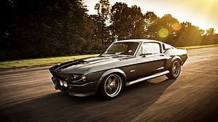 black Ford Mustang Eleanor coupe, Ford Mustang, GT, gt500, car HD wallpaper