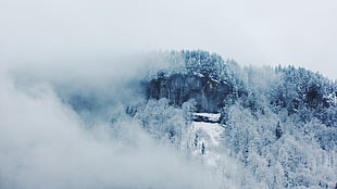mountains snowfield, landscape, winter