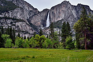 landscape photo of water-fall near green trees during daytime, yosemite national park HD wallpaper