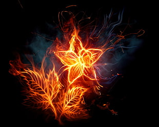petal flower flame wallpaper, flowers, fire HD wallpaper