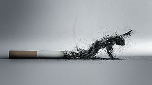 white cigarette stick, artwork, smoke, dieing, cigarettes HD wallpaper